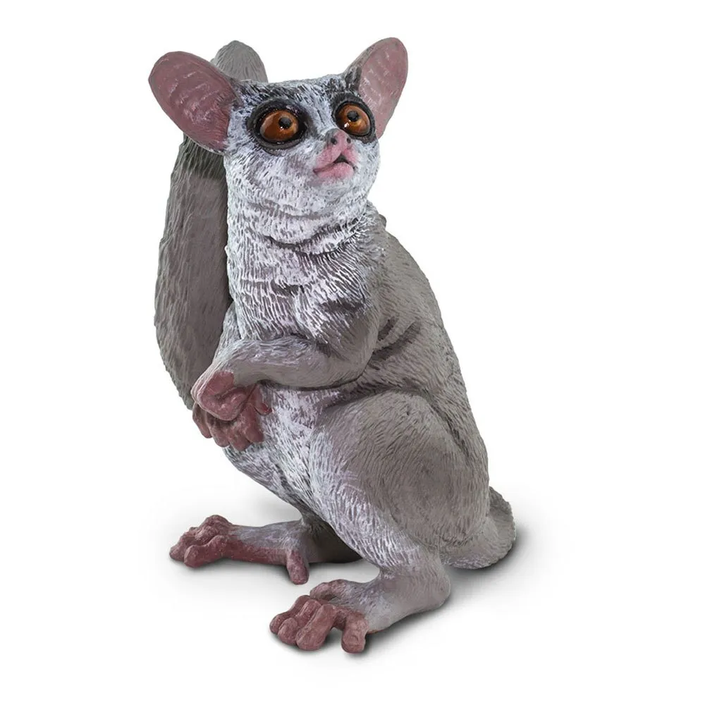 Bush Baby Figure 1 Bush Baby Figure