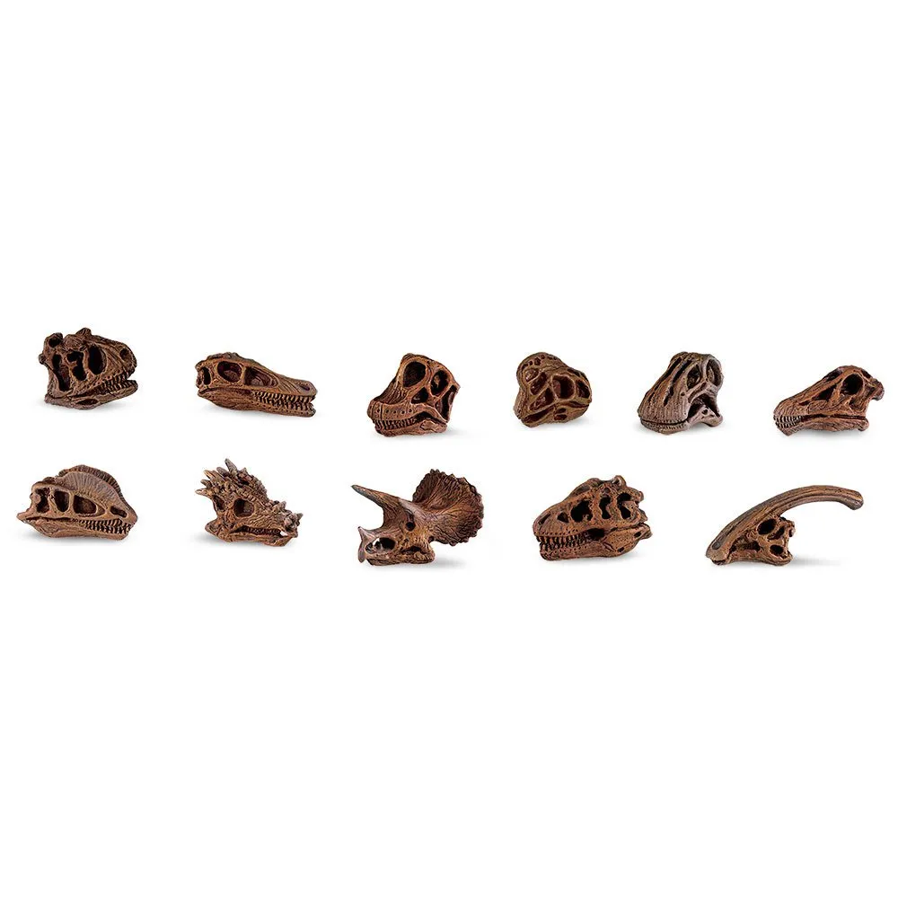Dinosaur Skulls 48 Pieces Figure 2 Dinosaur Skulls 48 Pieces Figure - Image 2